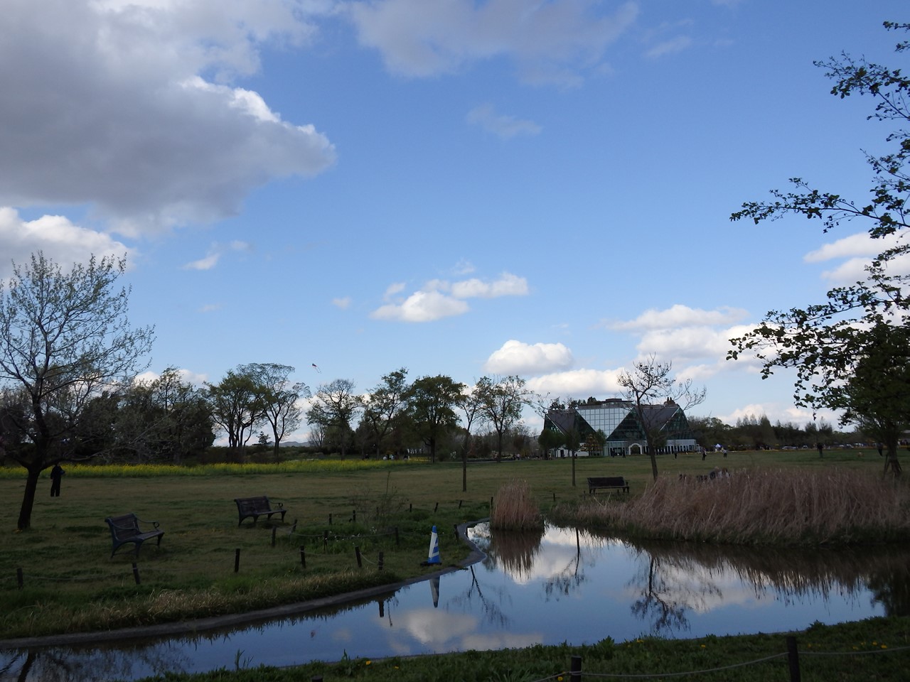 d0054276_2011262.jpg