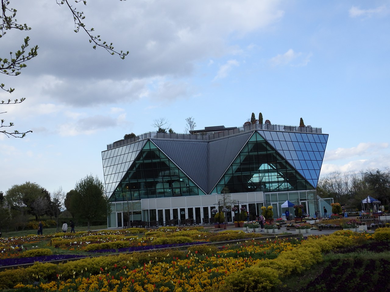 d0054276_2022534.jpg
