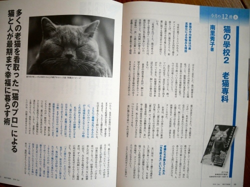 『老猫専科』今朝の朝日新聞にも紹介記事が！_f0054677_08490534.jpg