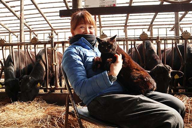 子猫の里親さん募集中_c0126281_15560976.jpg