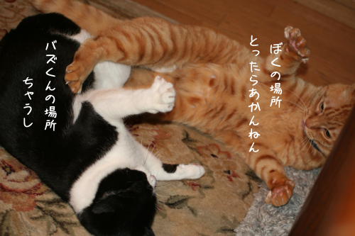 a0216583_23383490.png