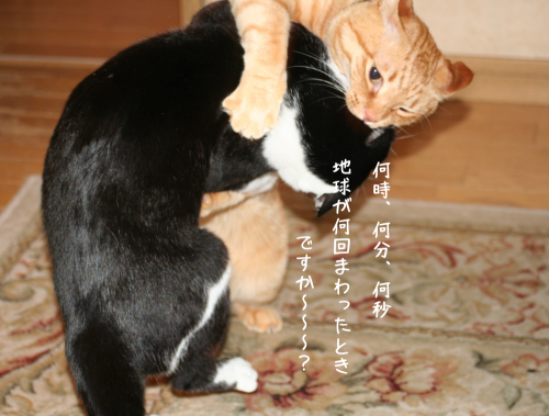 a0216583_23384946.png