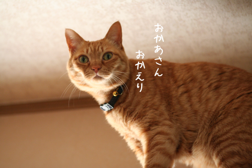 a0216583_23490706.png