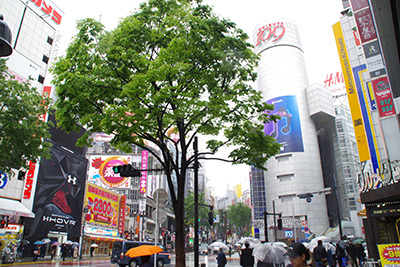 b0056983_14004975.jpg