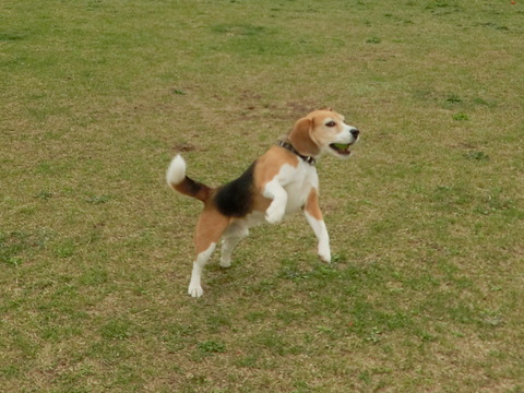 a0319693_7262679.jpg