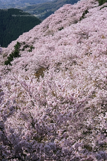 b0190100_02223446.jpg