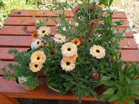 c0117007_23065716.jpg