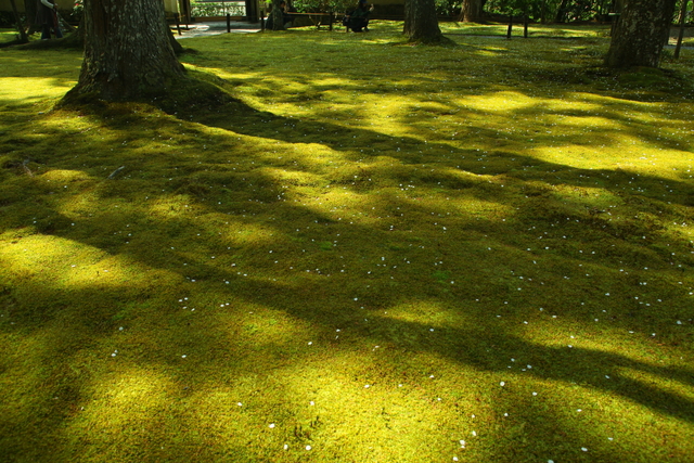 a0251508_2356226.jpg