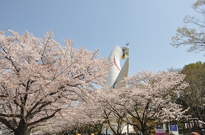 b0143308_21554868.jpg