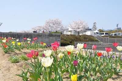 b0143308_21555661.jpg