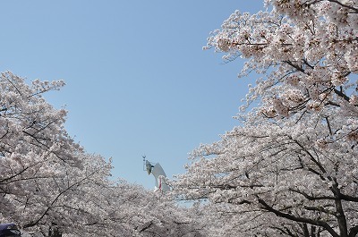 b0143308_21562967.jpg