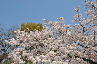 b0143308_21563635.jpg