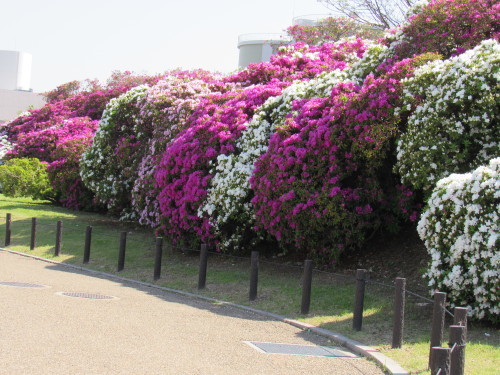 c0378111_16295183.jpg