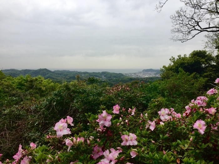 #瀬上〜鎌倉_d0138811_17033107.jpeg