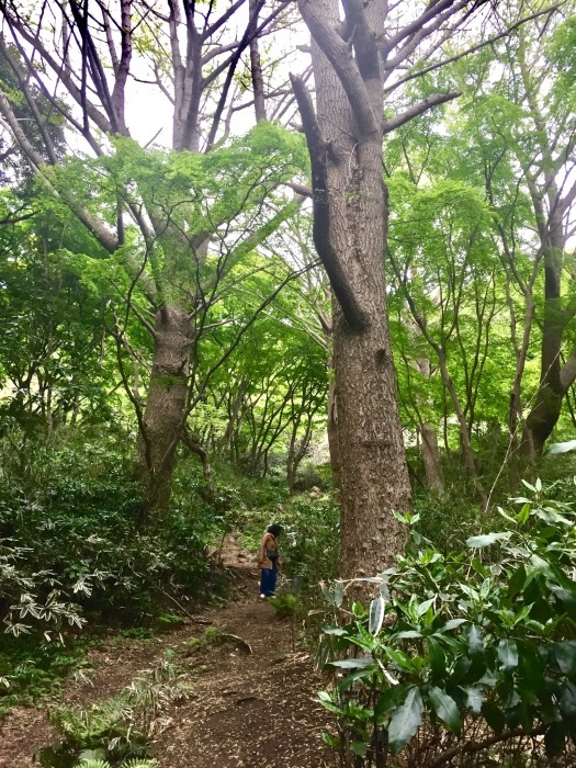 #瀬上〜鎌倉_d0138811_17042104.jpeg