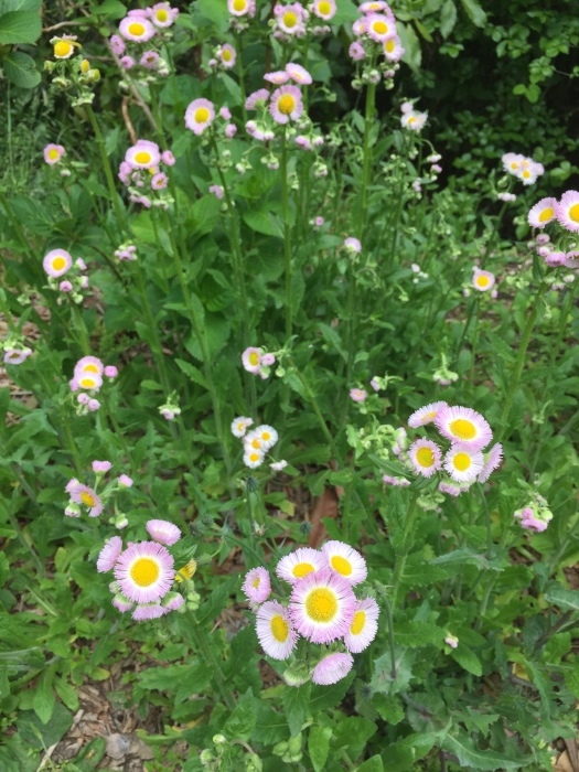#瀬上〜鎌倉_d0138811_17054659.jpeg