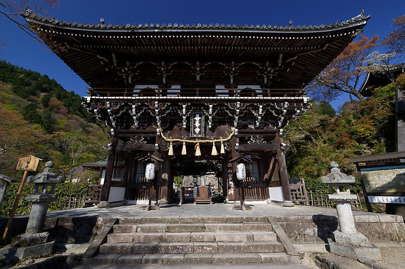 桜巡り2018@善峯寺 其の二_f0032011_21261454.jpg