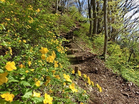 e0234924_06121150.jpg