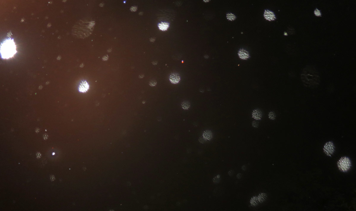 c0331825_19160858.jpg