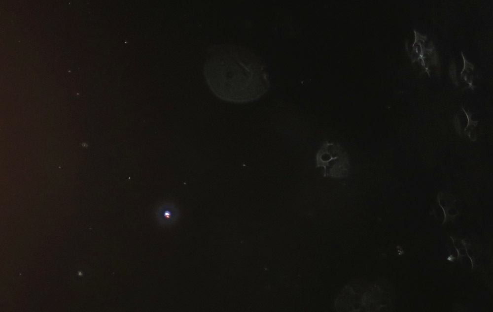 c0331825_19193459.jpg