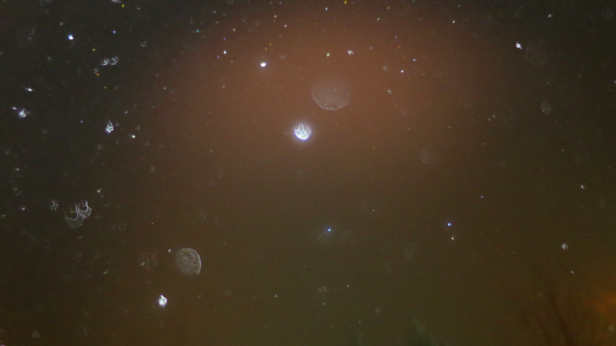 c0331825_19415630.jpg