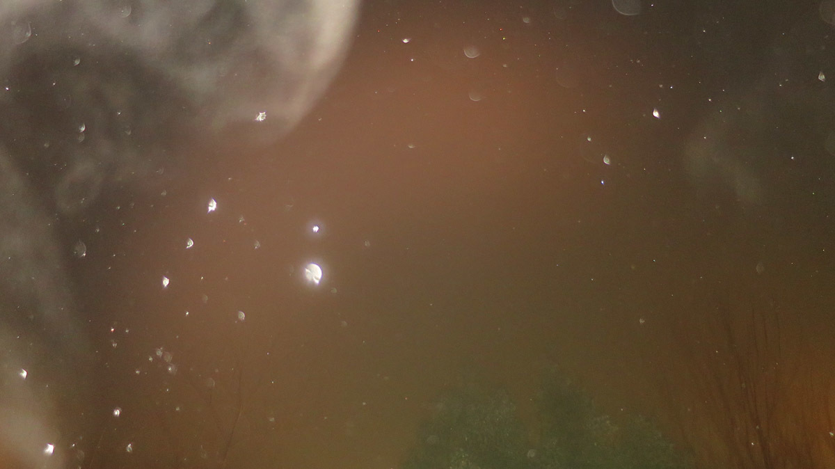 c0331825_19461982.jpg