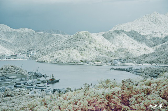 f0186527_20594113.jpg