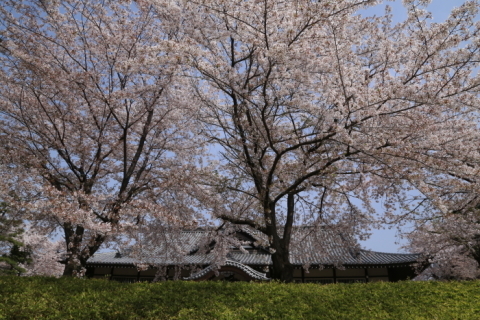 f0229832_23194628.jpg