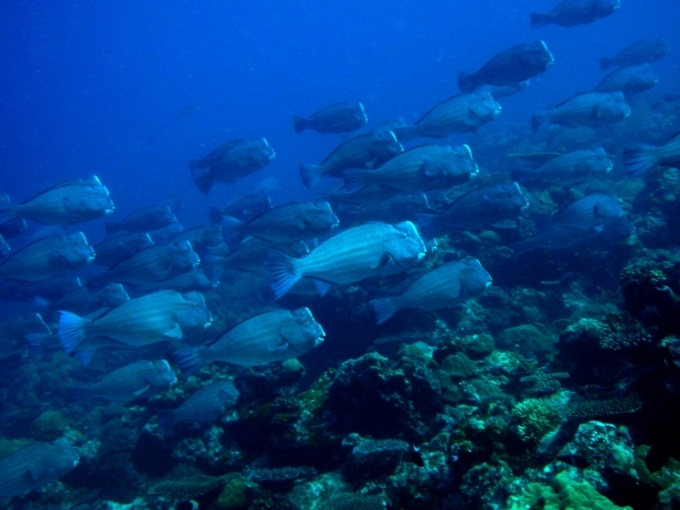 c0100239_14571765.jpg