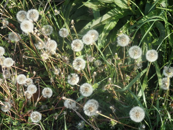 a0054240_20381945.jpg