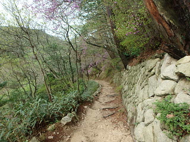 f0334143_851275.jpg
