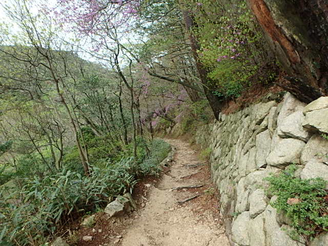 濡れた草花　裏　魚屋道　おじさんの休日_f0334143_851275.jpg