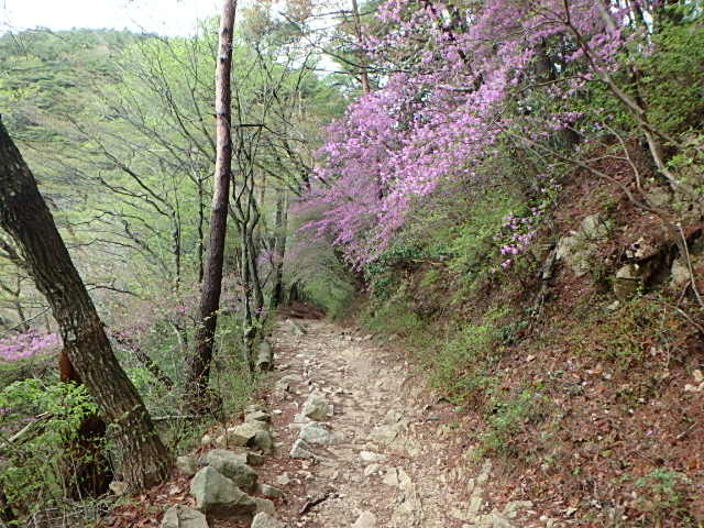 濡れた草花　裏　魚屋道　おじさんの休日_f0334143_8523629.jpg