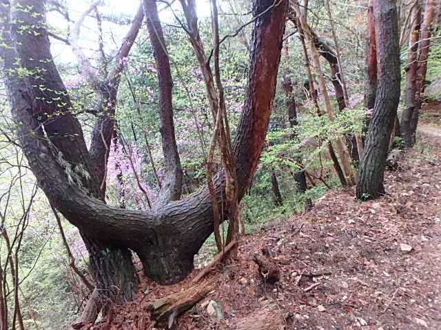 f0334143_853323.jpg