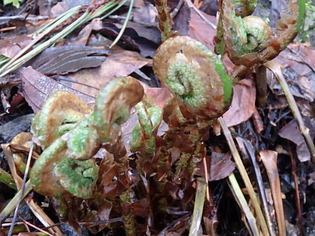 f0334143_8555386.jpg