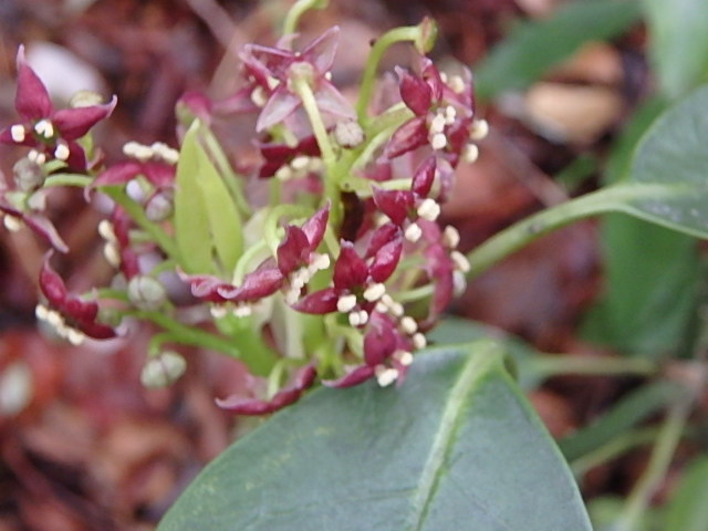 f0334143_856407.jpg