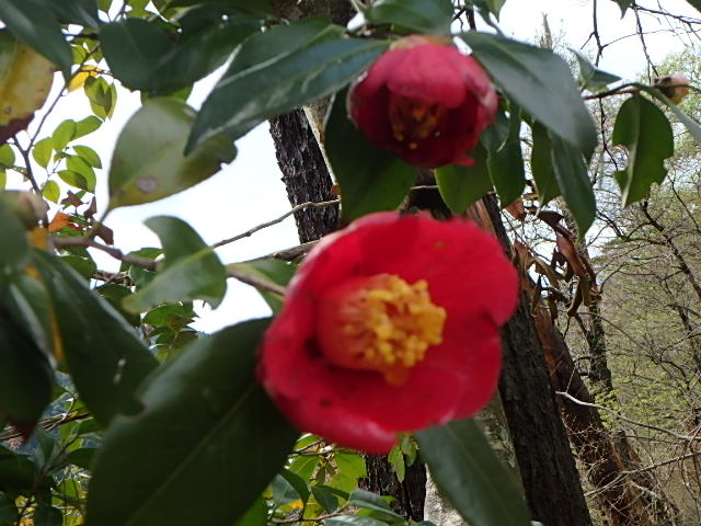 f0334143_85656.jpg