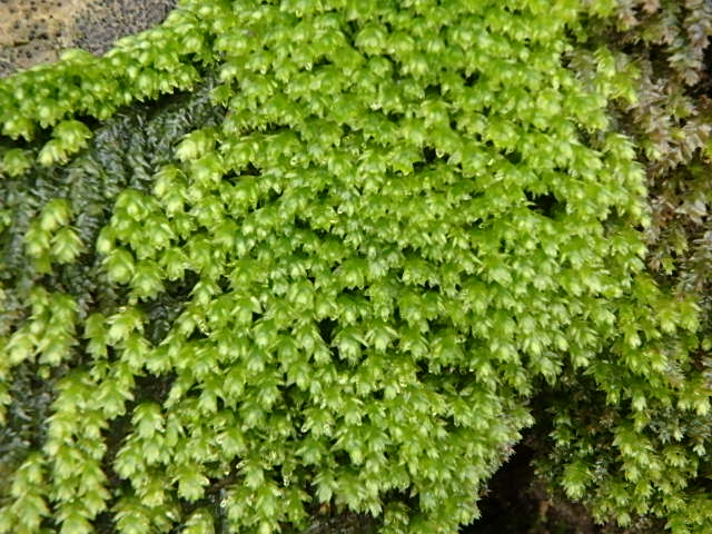 f0334143_8573337.jpg