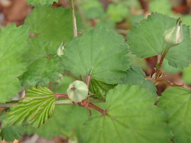 f0334143_8582765.jpg