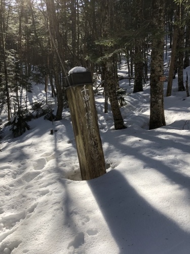 c0369344_16252750.jpeg
