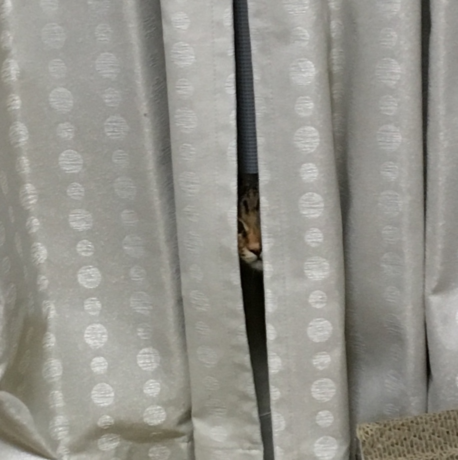 f0372445_06283630.jpeg