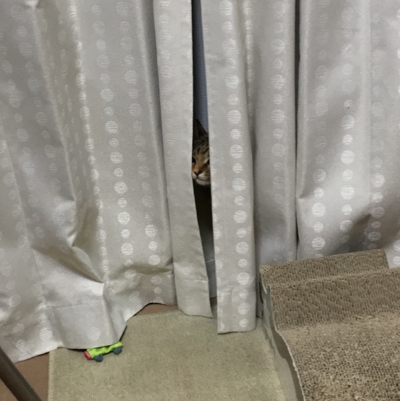 f0372445_06284711.jpeg