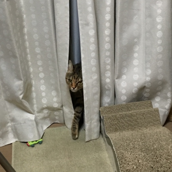 f0372445_06291331.jpeg