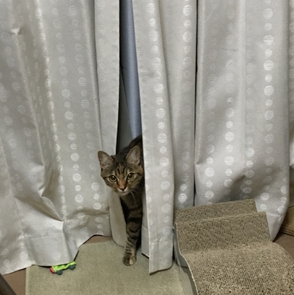 f0372445_06292982.jpeg
