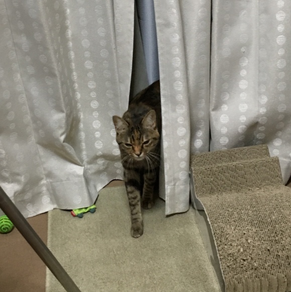 f0372445_06294322.jpeg