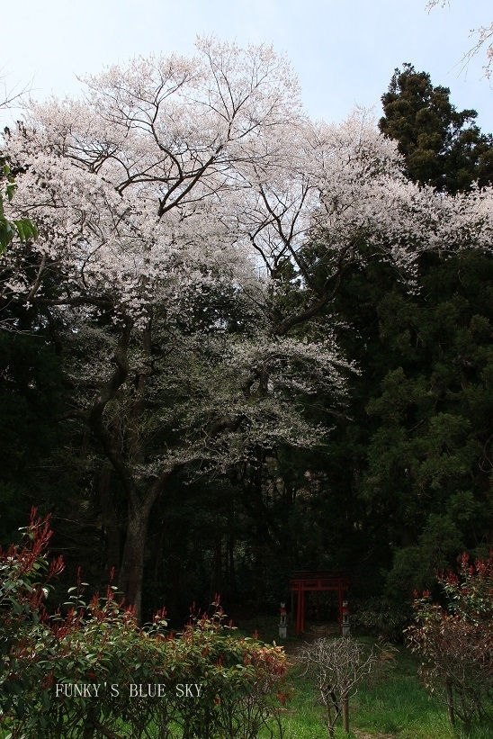 c0145250_15363456.jpg