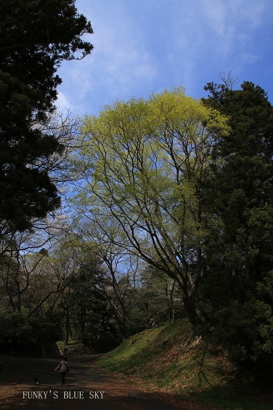 c0145250_15364432.jpg