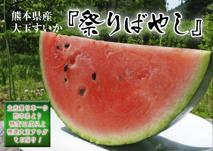 熊本産!大玉スイカ『祭りばやし』今年もネット独占販売!着果と交配作業を現地取材!初回出荷は5月22日_a0254656_16442659.jpg