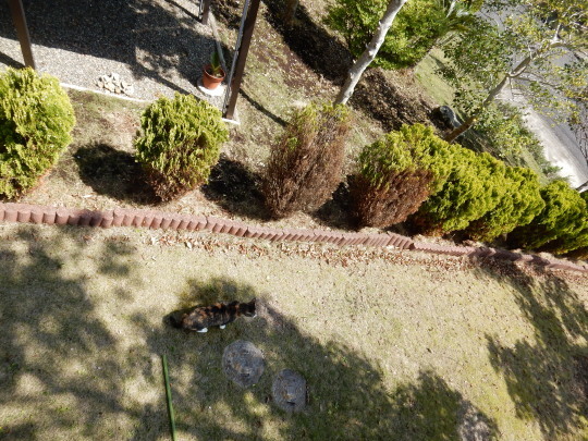 f0060461_10165731.jpg