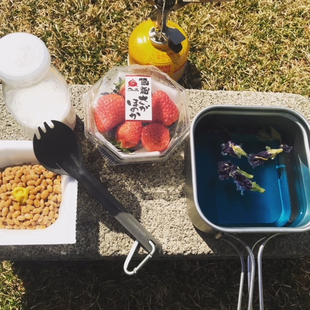 【BROMPTON】自走キャンプin苫小牧アルテンへ行ってきました!2018_d0197762_12350284.jpeg
